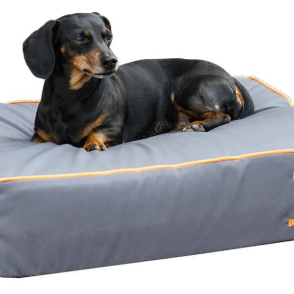 Pat pentru câini cu suprafață impregnată și bază antiderapantă, gri S 65 x 50 cm – Bodyguard Royal Bed