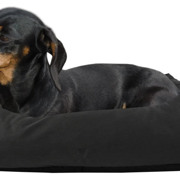 Pat pentru câini cu partea superioară impregnată și bază antiderapantă, negru, S 65 x 55 cm – Bodyguard Sofa Bed