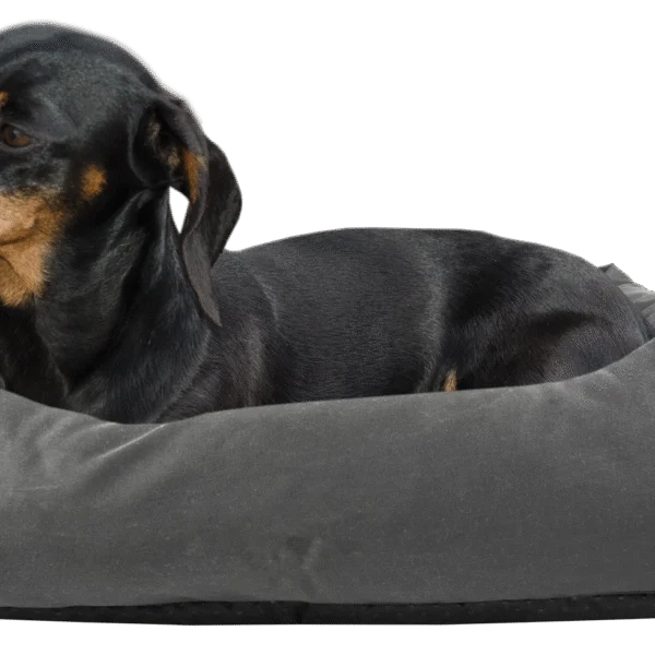 Pat pentru câini cu partea superioară tratată și bază antiderapantă, gri, S 65 x 55 cm – Bodyguard Sofa Bed