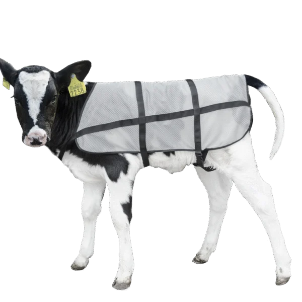 Pătură de vară pentru viței, respirabilă, lungime pe spate 70 cm – Bodyguard Calf Summer Blanket