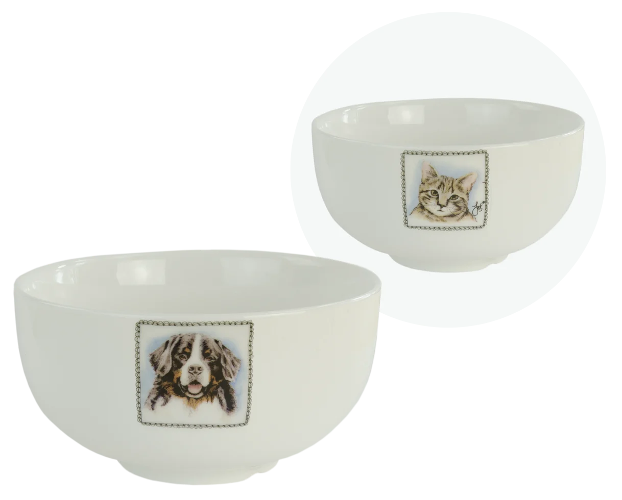 Bol cu câine și pisică – Boerenwinkel - imagine 1