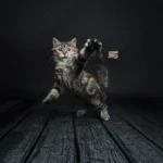 Jucărie interactivă pentru pisici – Cat Dancer Deluxe - imagine 2