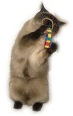 Set de jucării pentru pisici, 2 bucăți – Cat Dancer Ring Tail Chasers - imagine 2