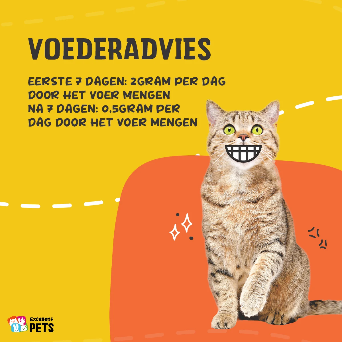 Pulbere de lizină pentru pisici cu vitamina B6, 50 g – Excellent Pets L-Lysine - imagine 3