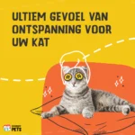 Spray cu iarba-mâței pentru jucării și transportoare, 150 ml – Excellent Pets Catnip Spray - imagine 4