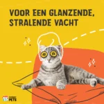 Supliment pentru pisici sub formă de crochete cu prebiotice, 60 g – Excellent Pets Cat Parex - imagine 3