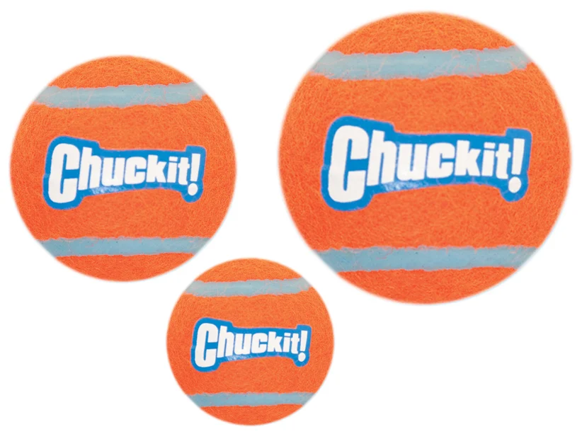 Mingi de tenis pentru câini M, ø 6 cm, 2 bucăți, plutitoare – Chuckit! Tennis Ball - imagine 4