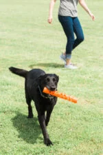 Băț pentru aport din cauciuc moale, plutitor, 31 cm – Chuckit! Air Fetch Stick - imagine 5