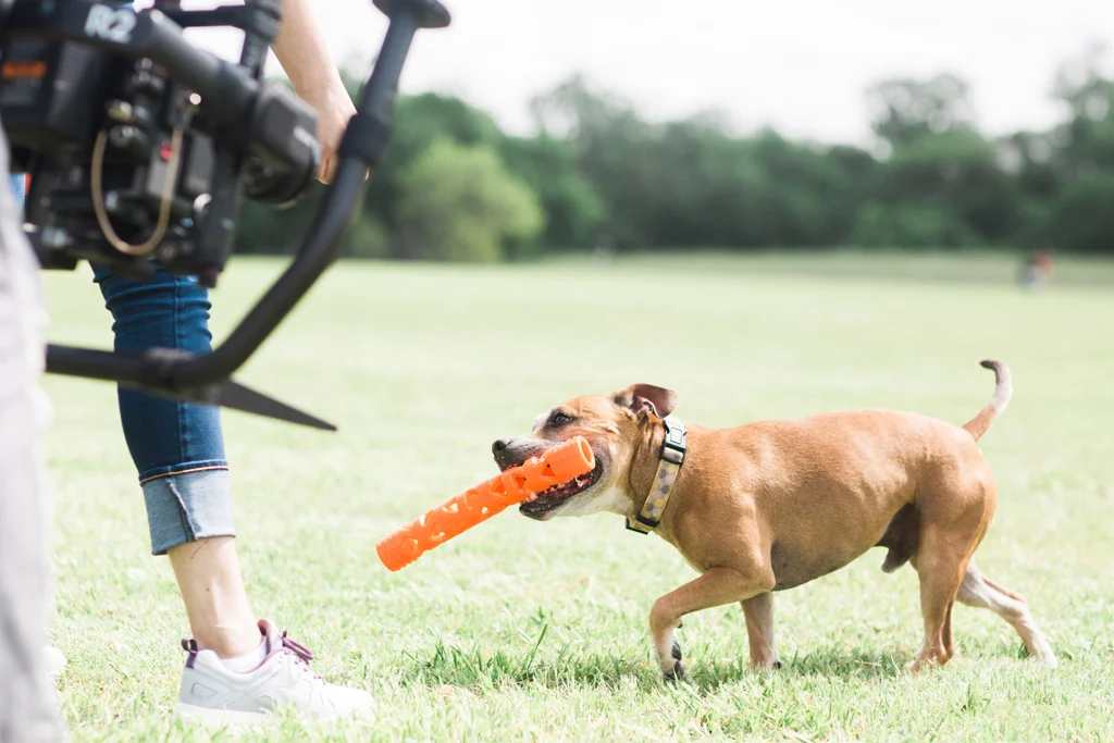 Băț pentru aport din cauciuc moale, plutitor, 31 cm – Chuckit! Air Fetch Stick - imagine 6
