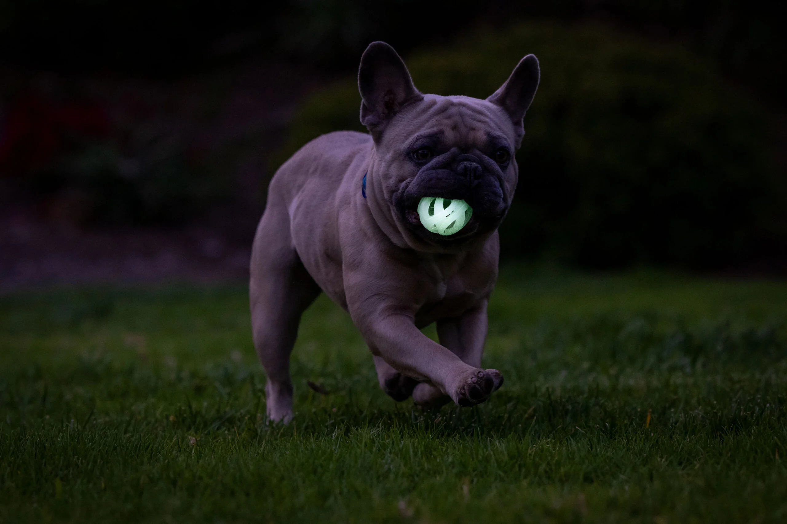 Minge luminoasă pentru câini S, plutitoare, 4,5 cm, 2 bucăți – Chuckit! Air Glow Fetch Ball - imagine 5