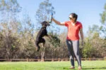 Mingi pentru câini cu aromă de bacon și unt de arahide, 4 bucăți – Chuckit! Sniff Fetch Ball Bacon & Peanut Butter M - imagine 4