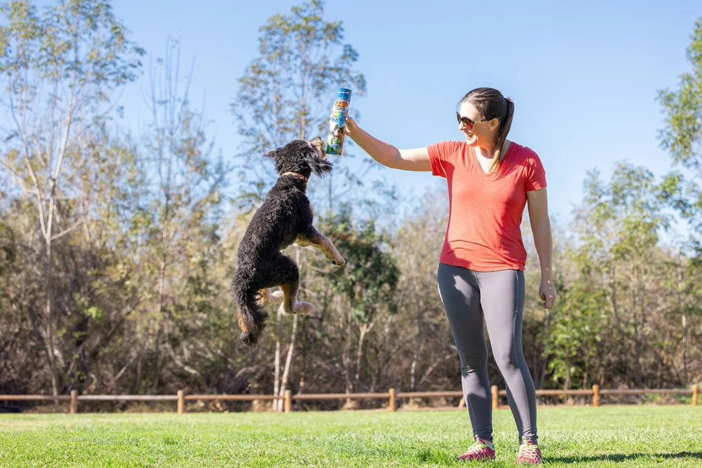 Mingi pentru câini cu aromă de bacon și unt de arahide, 4 bucăți – Chuckit! Sniff Fetch Ball Bacon & Peanut Butter M - imagine 4