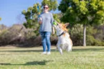 Mingi pentru câini cu aromă de bacon și unt de arahide, 4 bucăți – Chuckit! Sniff Fetch Ball Bacon & Peanut Butter M - imagine 5