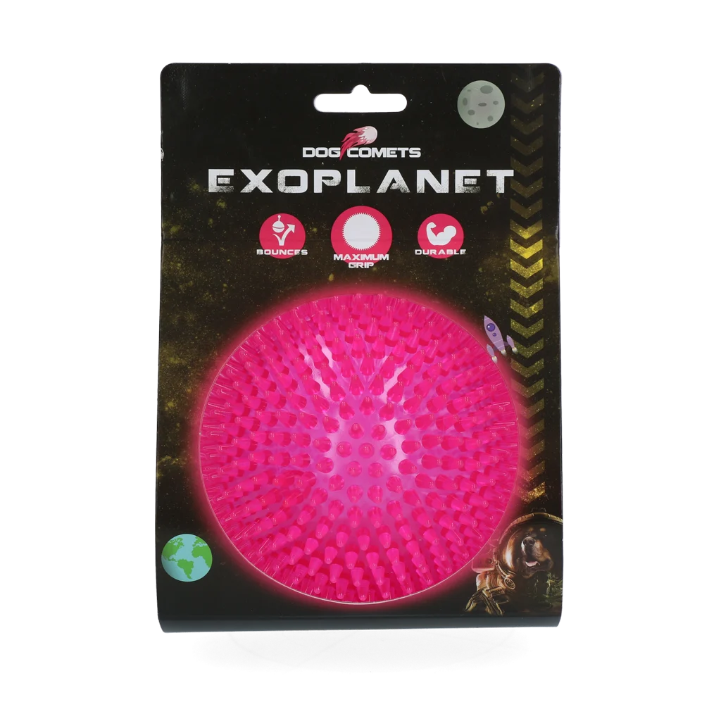 Minge pentru câini cu țepi și chițăitoare, L 10,5 cm, Roz – Dog Comets Exoplanet - imagine 1