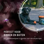Mingi din cauciuc pentru câini cu găleată, 6 bucăți M – Dog Comets Meteor Shower - imagine 2
