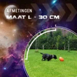 Jucărie de aport pentru câini, plutitoare, 30 cm, portocalie – Dog Comets Pan-Stars - imagine 3