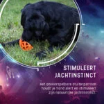 Minge din cauciuc pentru recompense, cu chițăitoare, portocalie – Dog Comets Moonstone - imagine 6