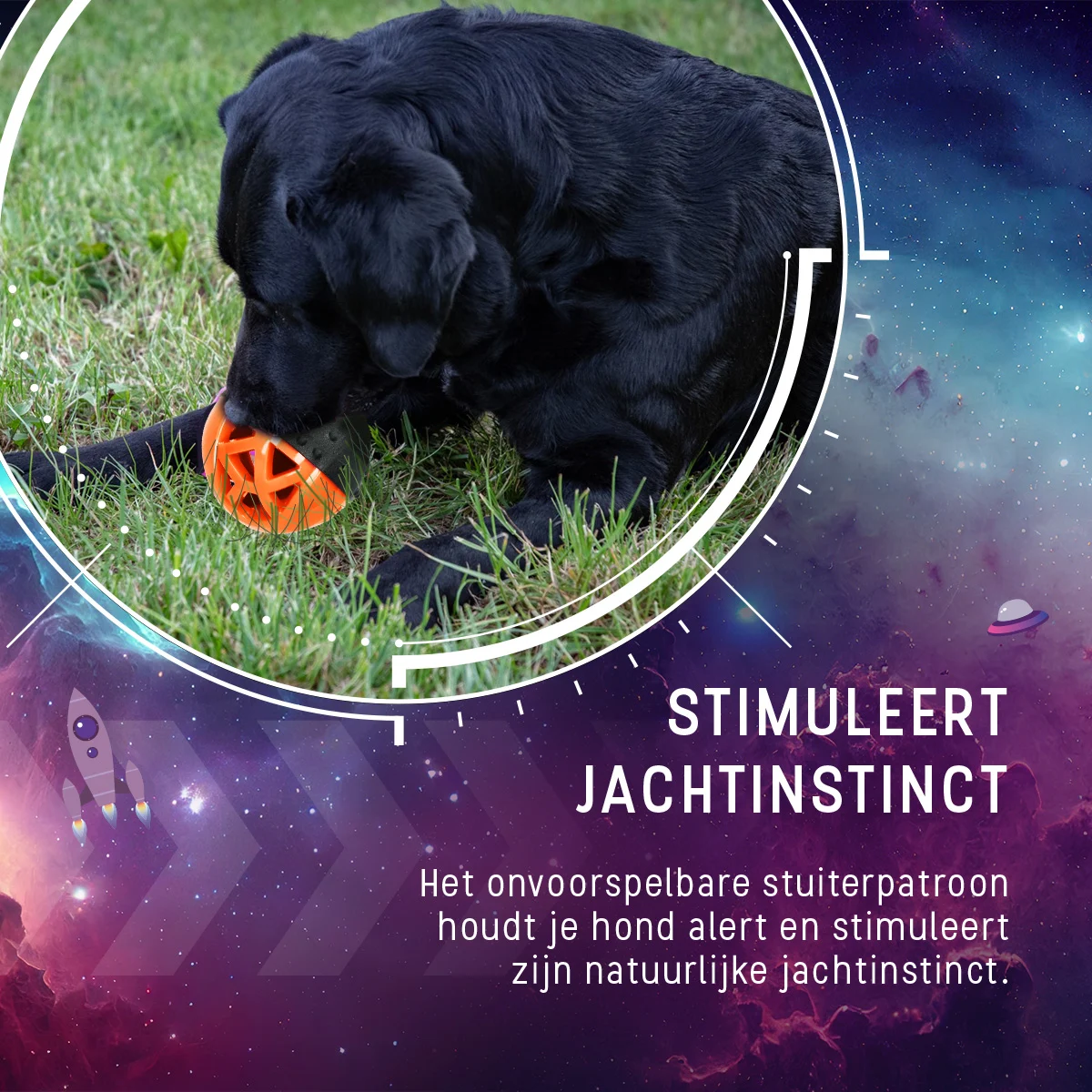 Minge din cauciuc pentru recompense, cu chițăitoare, portocalie – Dog Comets Moonstone - imagine 6