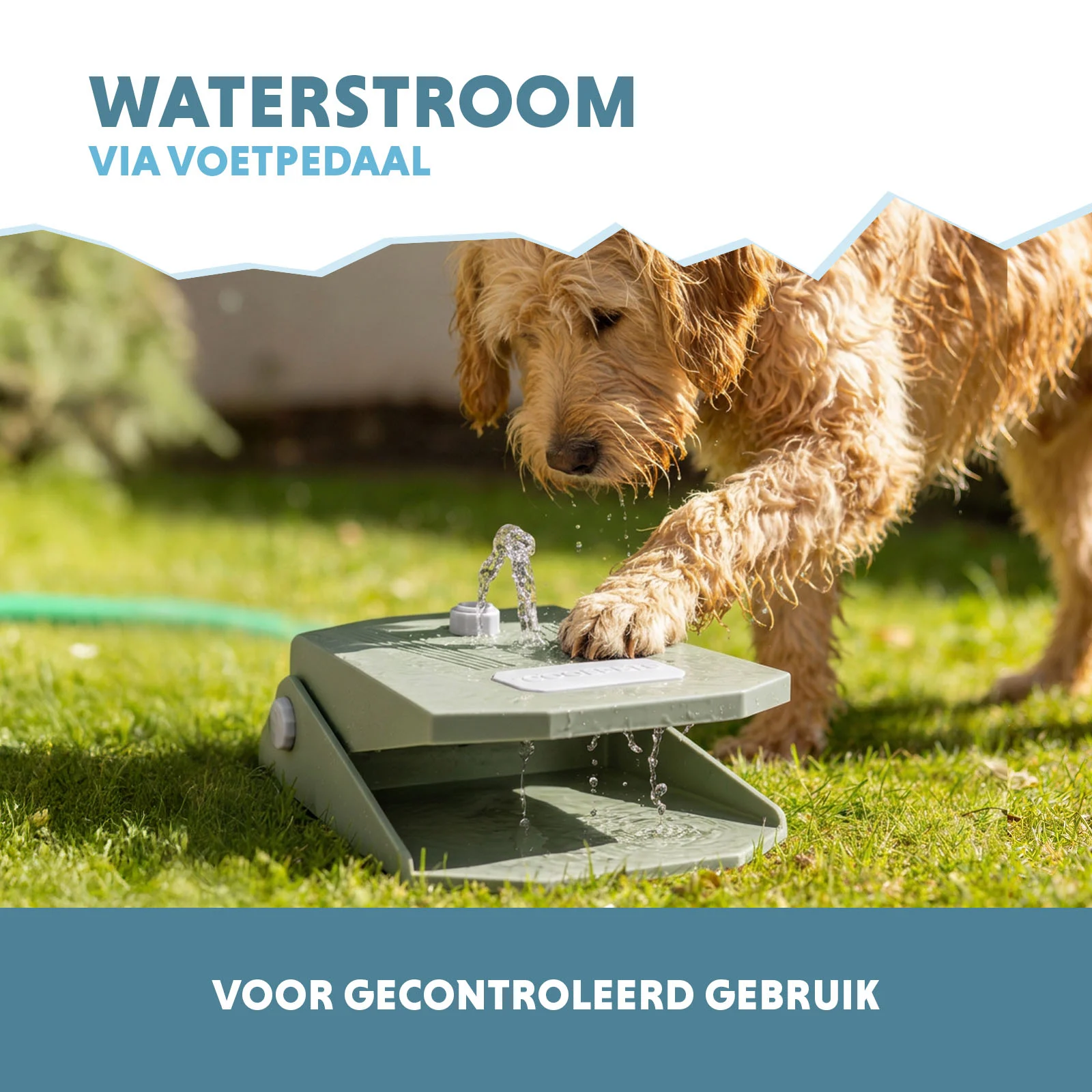 Fântână de apă cu pedală și conexiune pentru furtun de grădină, verde măsliniu – Coolpets Splash Water Fountain - imagine 4