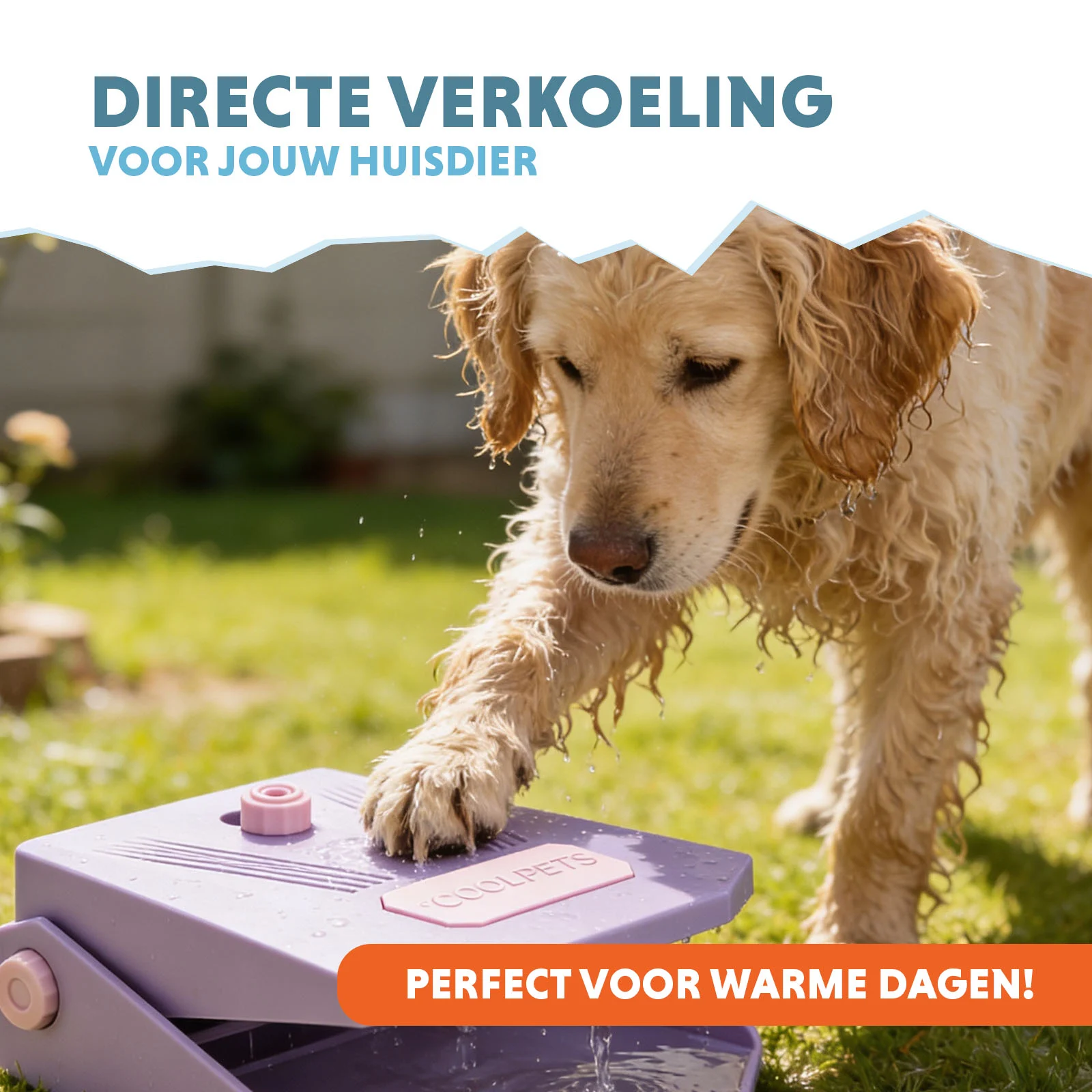 Fântână de apă cu pedală de picior și racord pentru furtun de grădină, lila – Coolpets Splash Water Fountain - imagine 2
