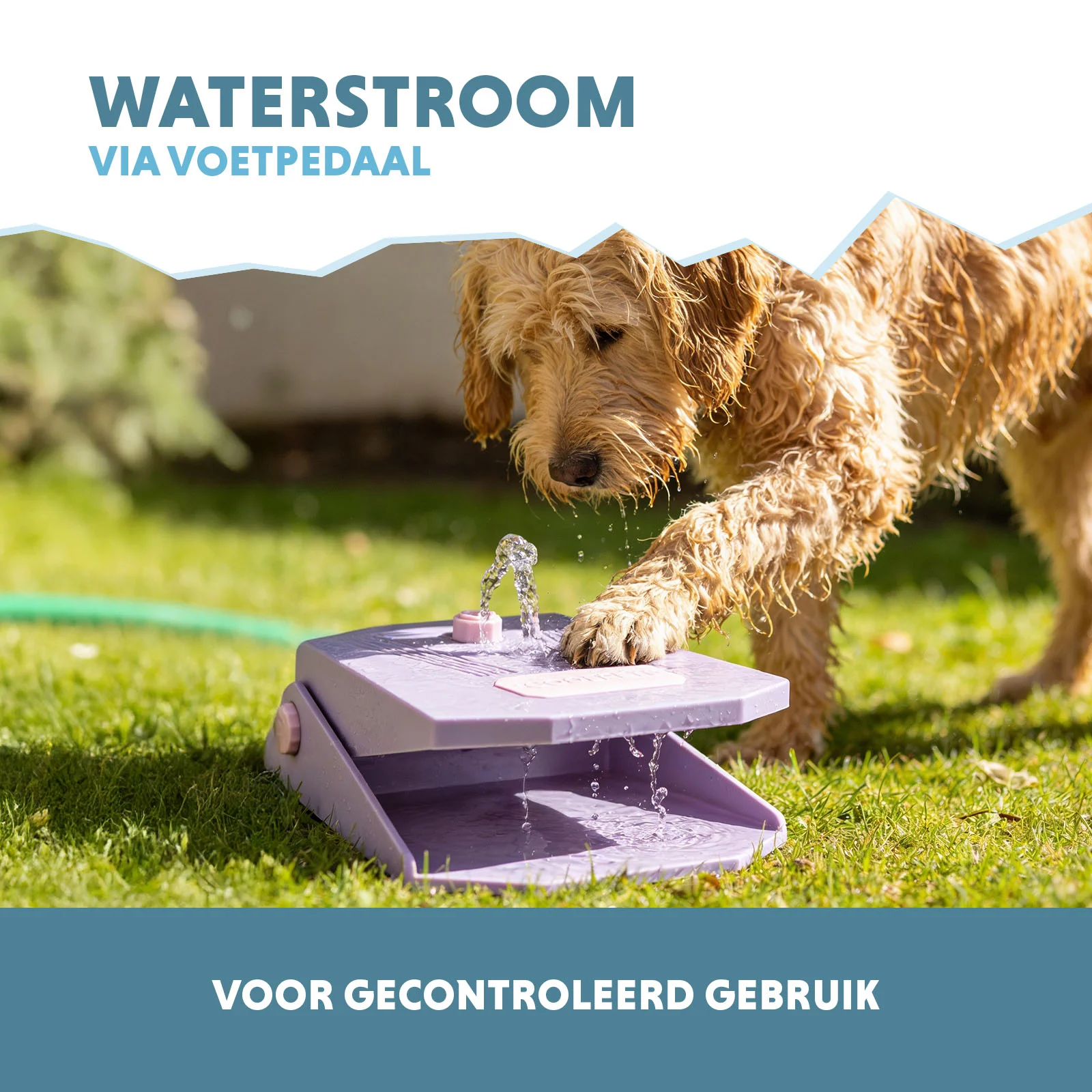 Fântână de apă cu pedală de picior și racord pentru furtun de grădină, lila – Coolpets Splash Water Fountain - imagine 4