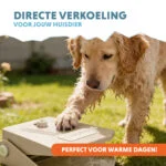 Fântână de apă cu pedală și racord pentru furtunul de grădină, bej – Coolpets Splash Water Fountain - imagine 2