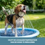 Saltea cu aspersoare pentru câini, cu racord pentru furtunul de grădină, M 150 cm – Coolpets Splash Sprinkler Pad - imagine 6