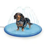 Covoraș cu jeturi de apă pentru câini, cu racord pentru furtun de grădină, S 100 cm – Coolpets Splash Sprinkler Pad
