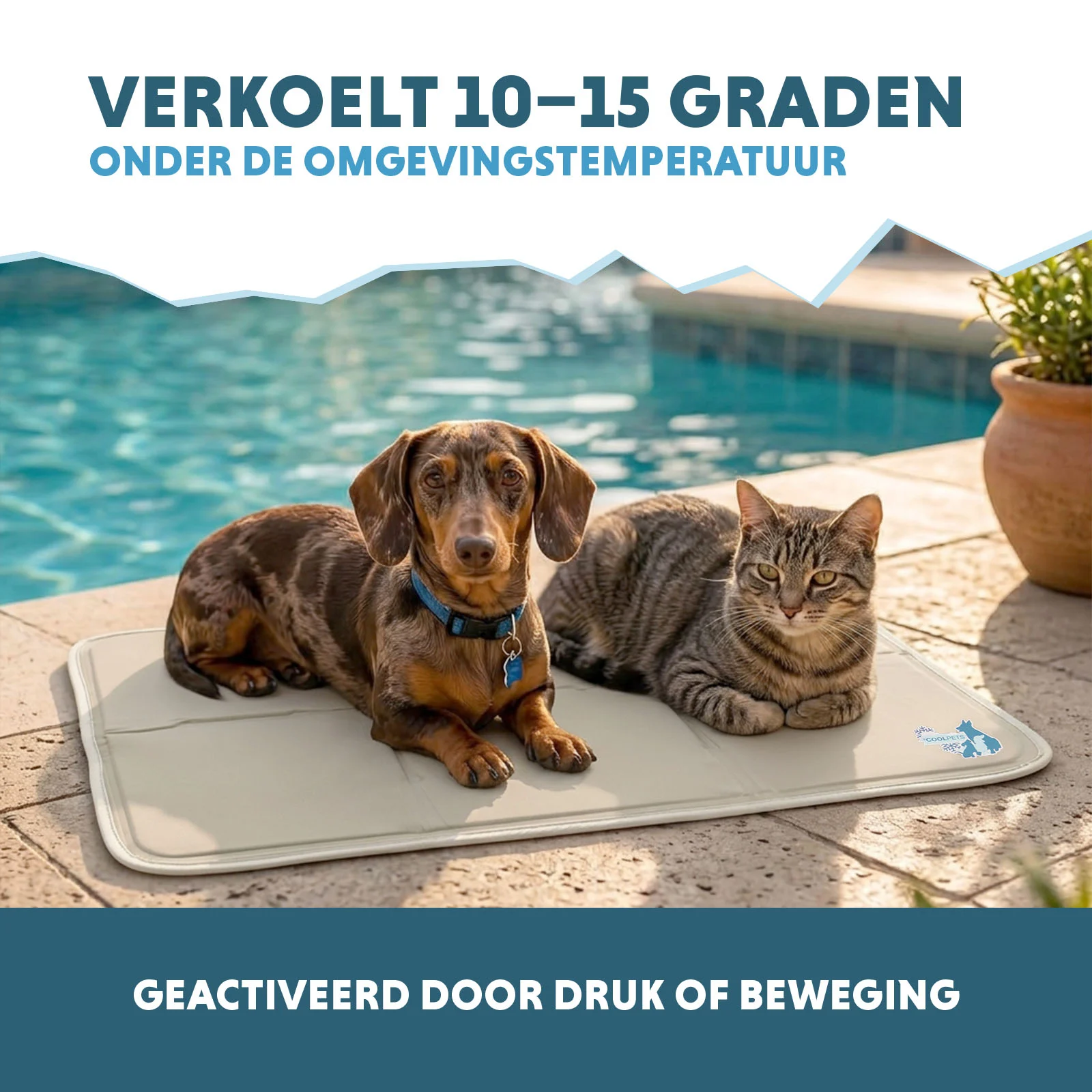 Covoraș răcoritor pentru câini cu gel solid, bej, M, 76 x 50 cm – Coolpets Gel Cooling Mat - imagine 4