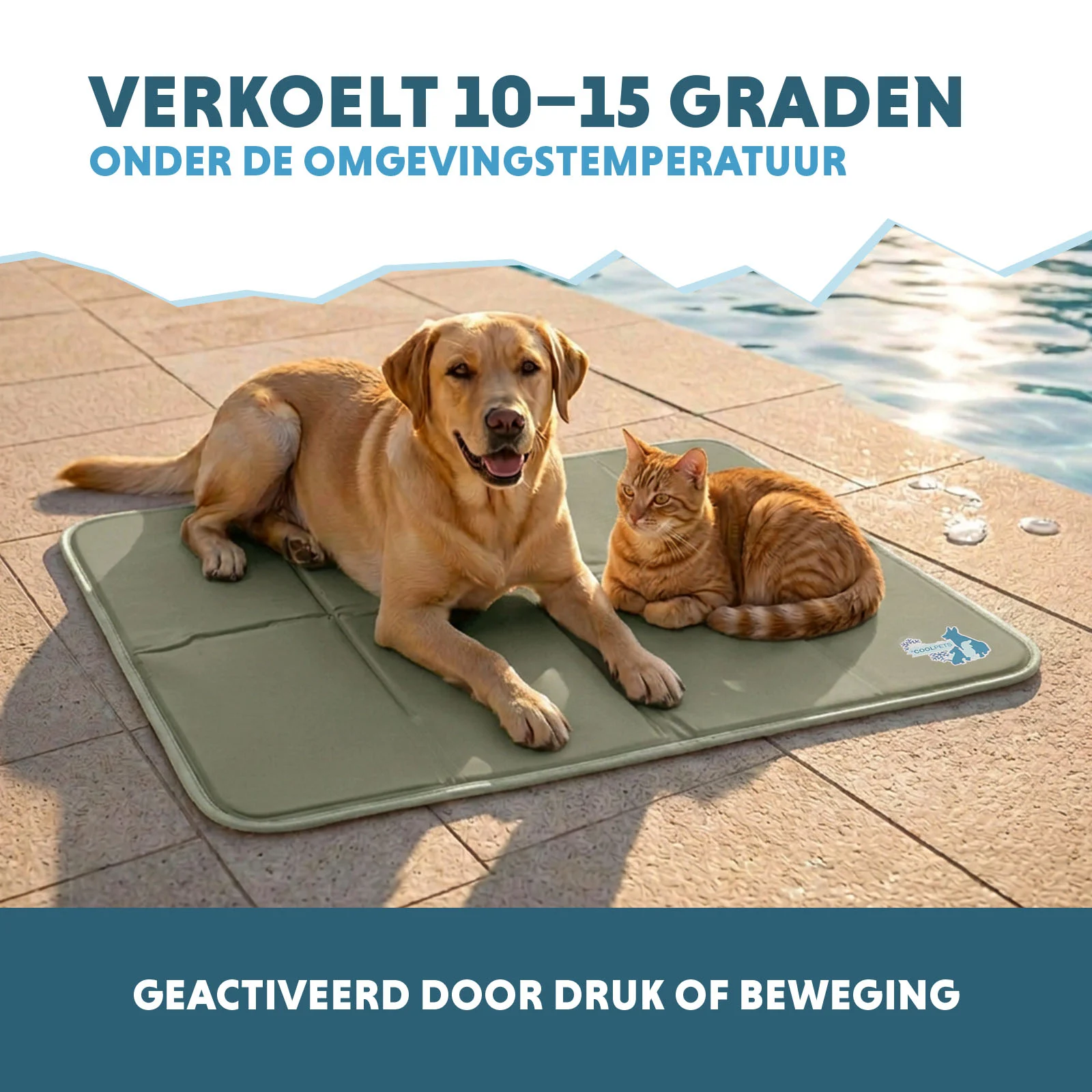 Saltea răcoritoare pentru câini cu gel solid, verde măsliniu, L 90 x 60 cm – Coolpets Gel Cooling Mat - imagine 4