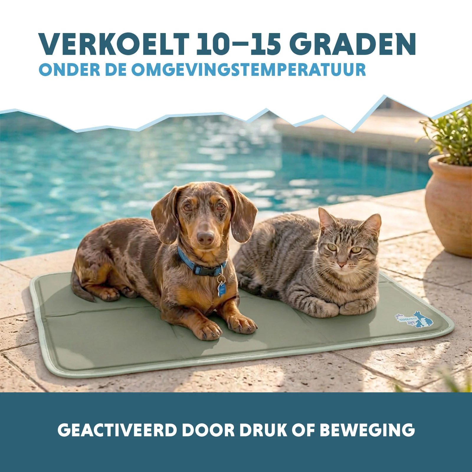 Saltea de răcorire pentru câini cu gel solid, verde măsliniu, M 76 x 50 cm – Coolpets Gel Cooling Mat - imagine 4