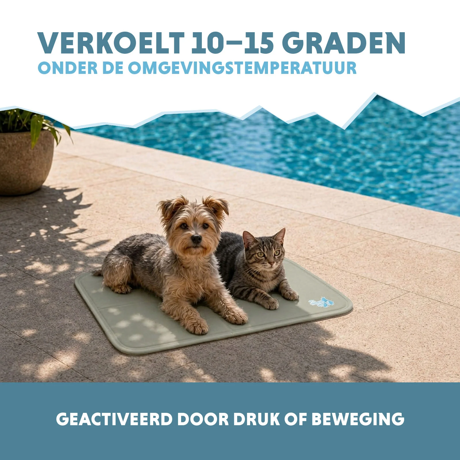 Covoraș răcoritor pentru câini cu gel solid, verde măsliniu, S 50 x 40 cm – Coolpets Gel Cooling Mat - imagine 4