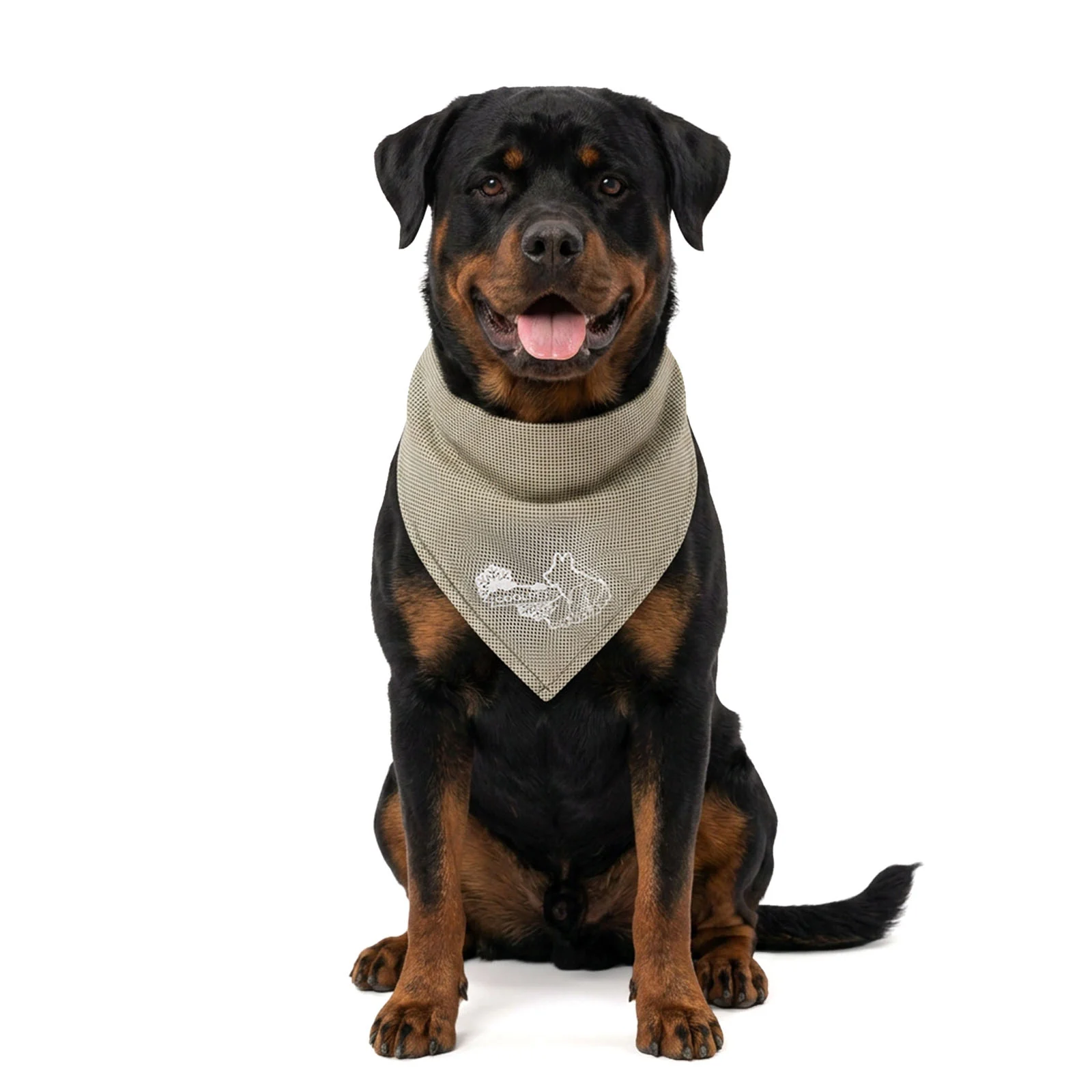Bandană răcoritoare pentru câini, bej, L, 85 x 40 cm – Coolpets Cooling Bandana - imagine 1
