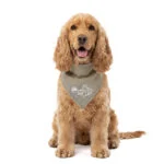 Bandana de răcorire pentru câini, bej, M, 65 x 30 cm – Coolpets Cooling Bandana