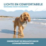 Bandana de răcorire pentru câini, bej, M, 65 x 30 cm – Coolpets Cooling Bandana - imagine 4