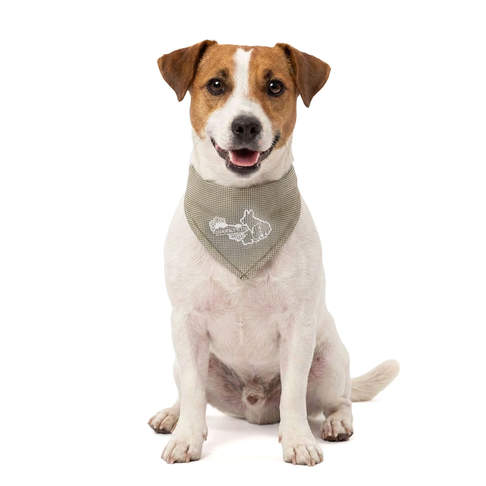 Bandană răcoritoare pentru câini, bej, S, 45 x 20 cm – Coolpets Cooling Bandana - imagine 1