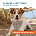 Bandană răcoritoare pentru câini, bej, S, 45 x 20 cm – Coolpets Cooling Bandana - imagine 2