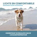 Bandană răcoritoare pentru câini, bej, S, 45 x 20 cm – Coolpets Cooling Bandana - imagine 4