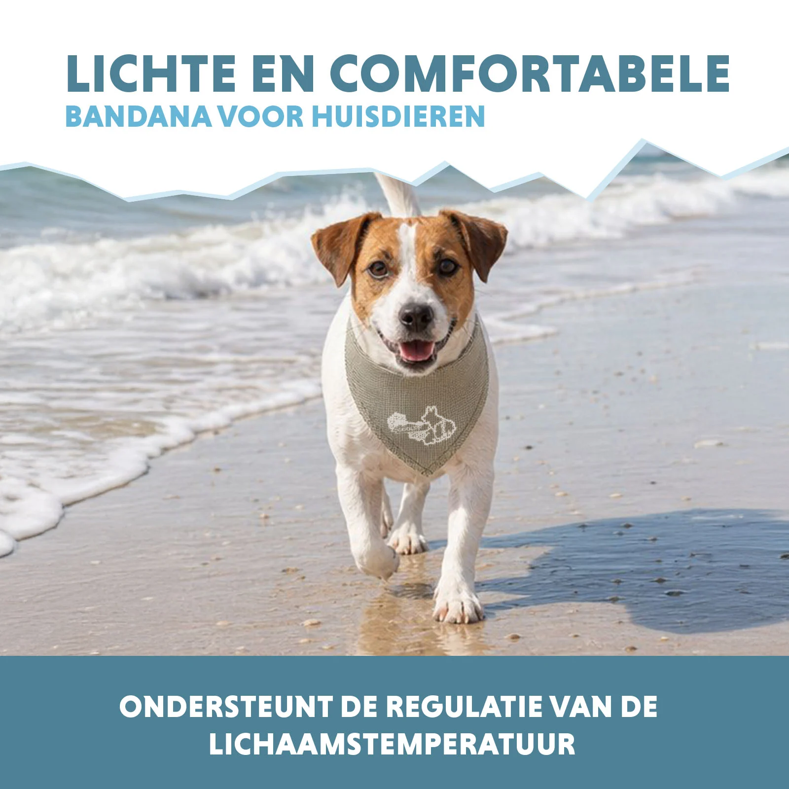 Bandană răcoritoare pentru câini, bej, S, 45 x 20 cm – Coolpets Cooling Bandana - imagine 4