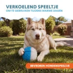 Minge răcoritoare pentru câini, 9 × 9 × 6,9 cm – Coolpets Ice Ball - imagine 5