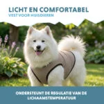Vestă răcoritoare pentru câini, activată cu apă, L, lungimea spatelui 35 cm – Coolpets Cooling Vest - imagine 4