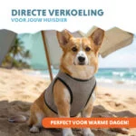 Vestă răcoritoare pentru câini, activată cu apă, M, lungimea spatelui 30 cm – Coolpets Cooling Vest - imagine 2