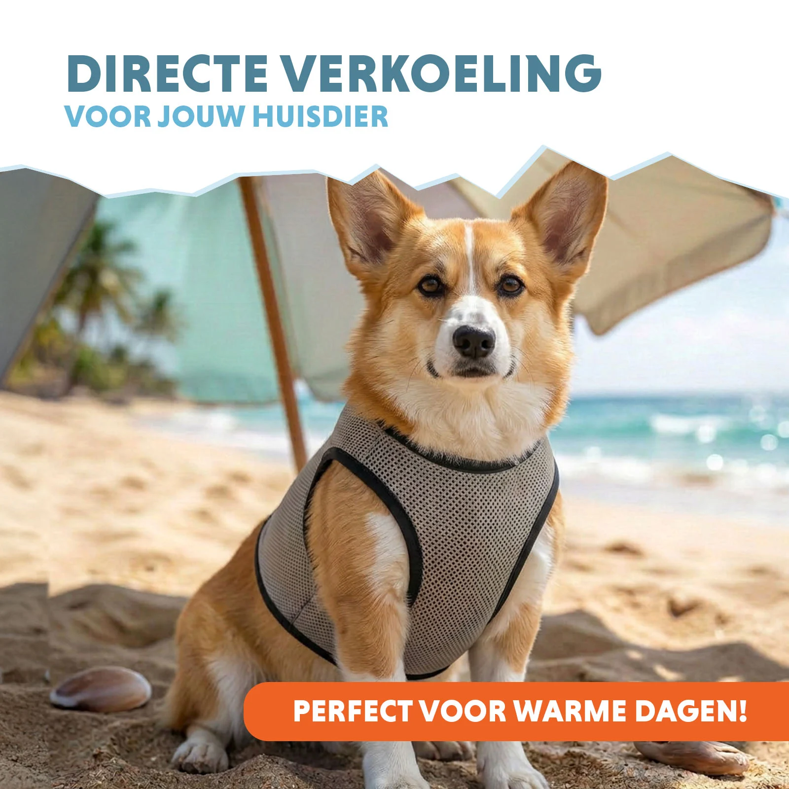 Vestă răcoritoare pentru câini, activată cu apă, M, lungimea spatelui 30 cm – Coolpets Cooling Vest - imagine 2