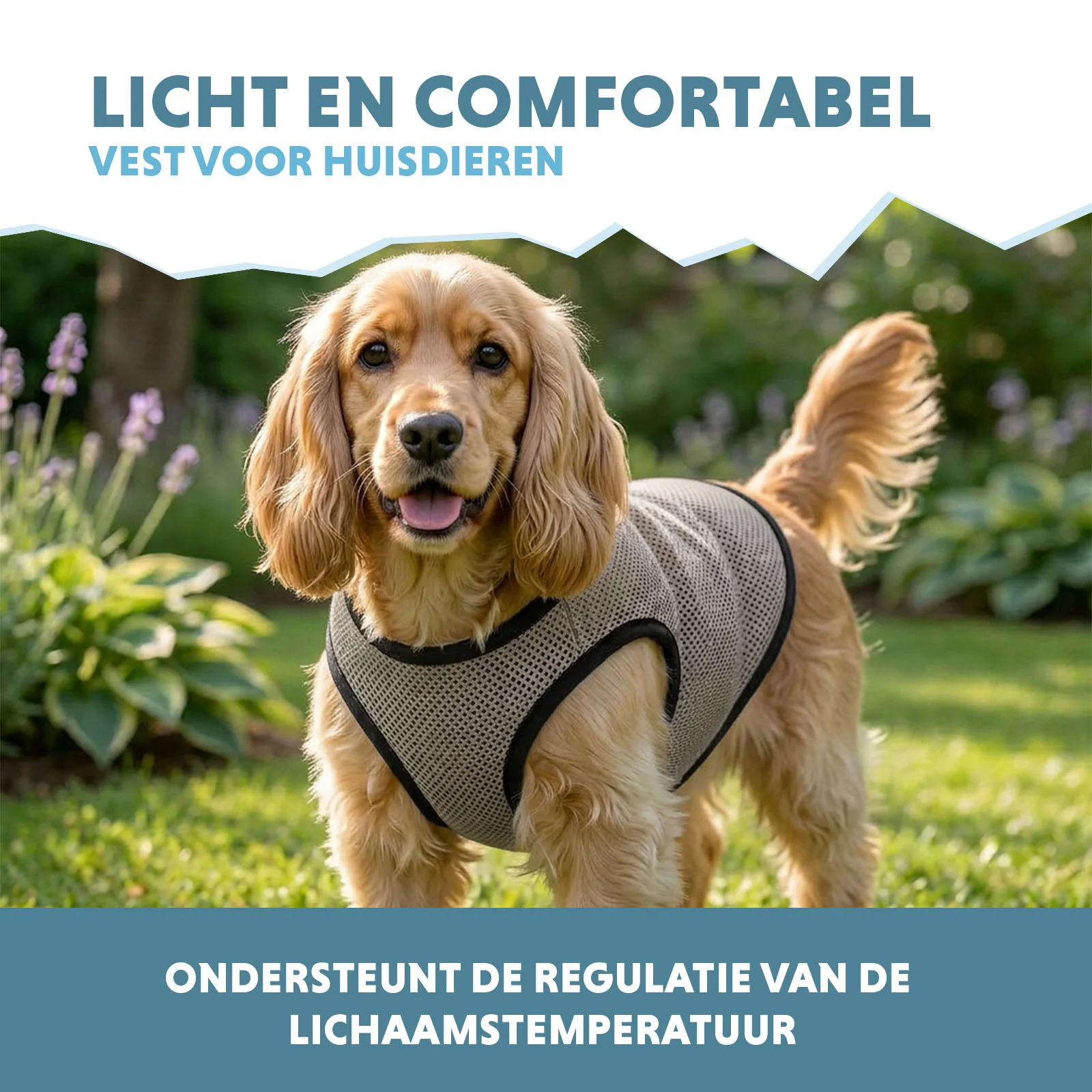 Vestă răcoritoare pentru câini, activată cu apă, M, lungimea spatelui 30 cm – Coolpets Cooling Vest - imagine 4