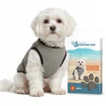 Vestă răcoritoare pentru câini, activată cu apă, S, lungimea spatelui 25 cm – Coolpets Cooling Vest