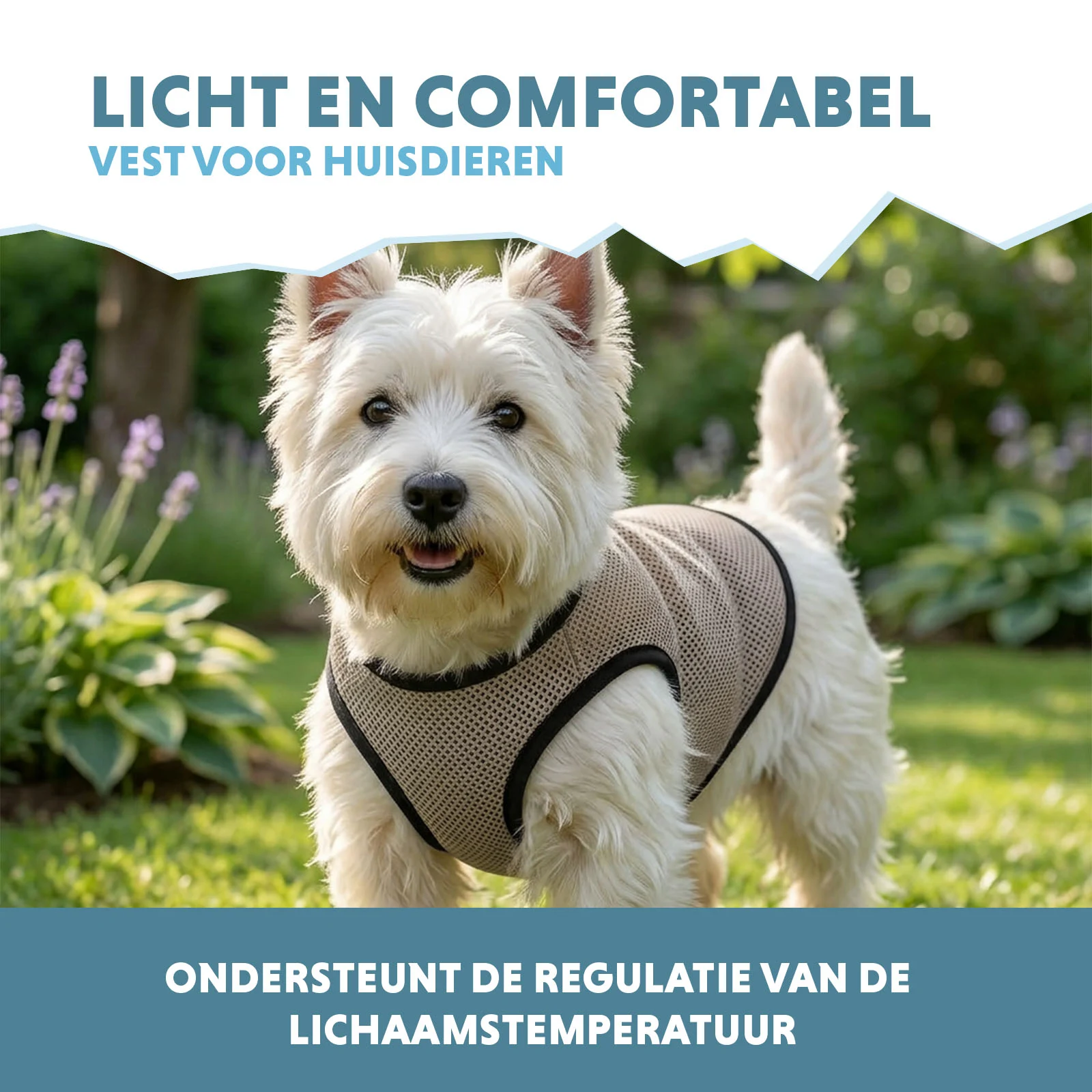 Vestă răcoritoare pentru câini, activată cu apă, S, lungimea spatelui 25 cm – Coolpets Cooling Vest - imagine 4