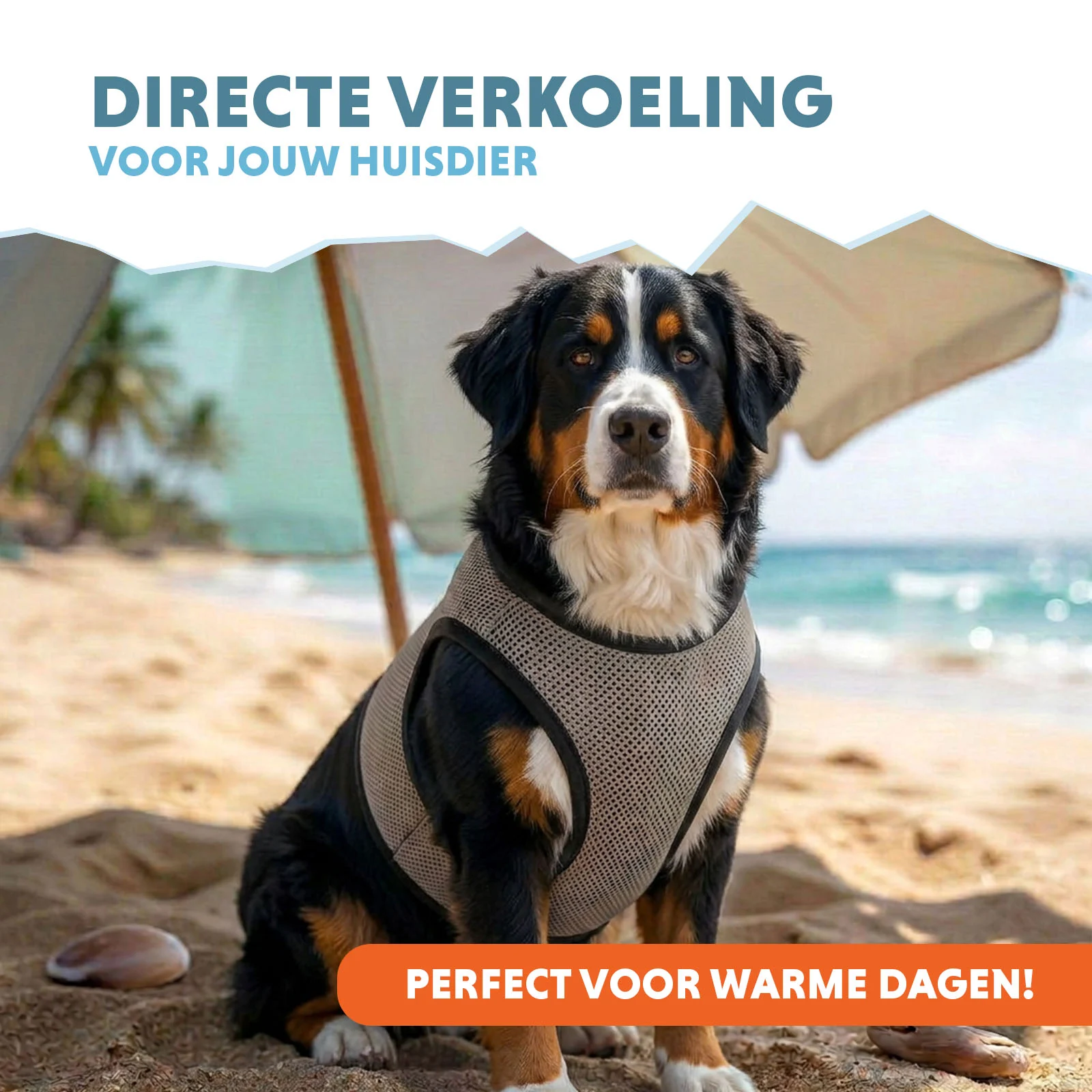 Vestă răcoritoare pentru câini, activată cu apă, XL, lungimea spatelui 40 cm – Coolpets Cooling Vest - imagine 2