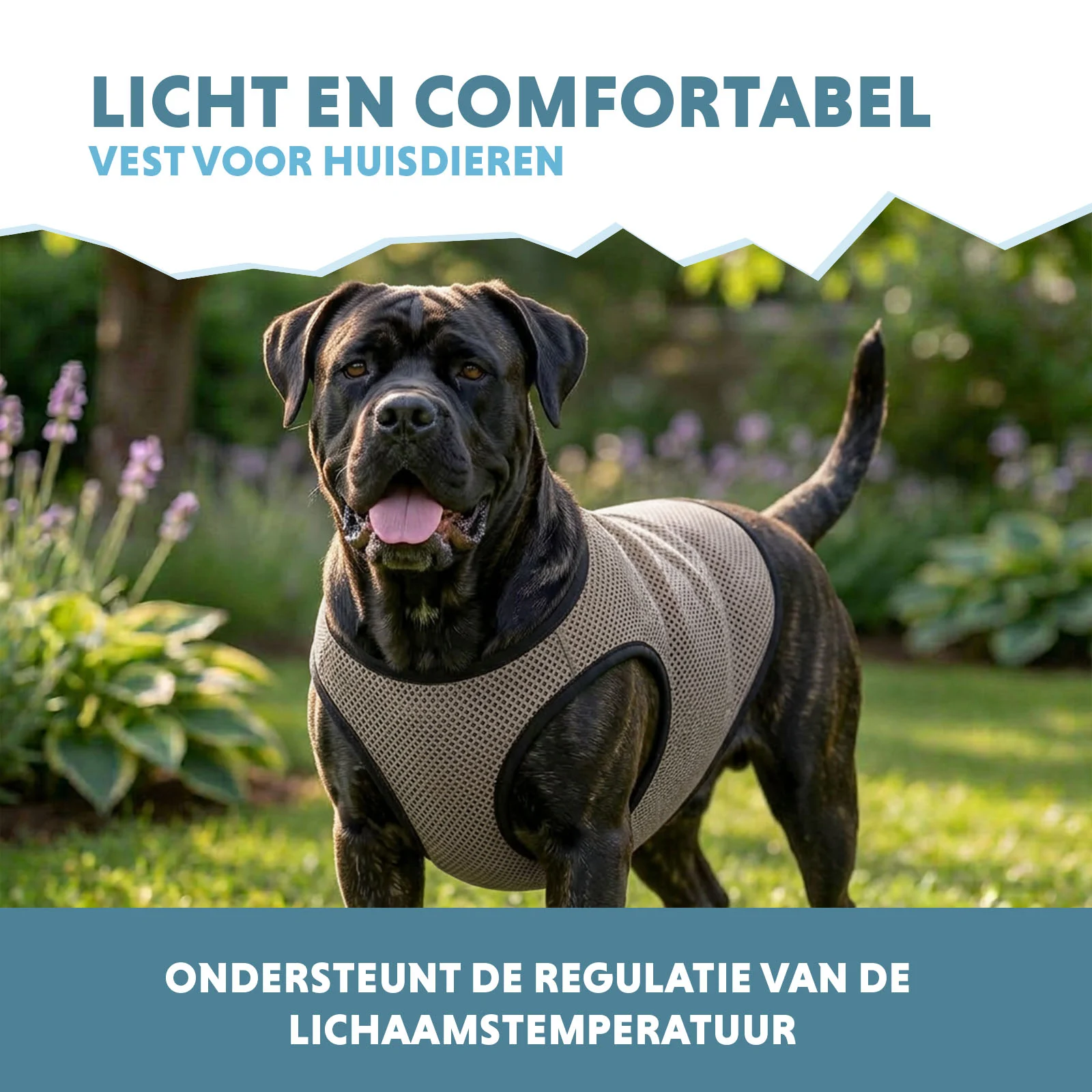 Vestă răcoritoare pentru câini, activată cu apă, XL, lungimea spatelui 40 cm – Coolpets Cooling Vest - imagine 4