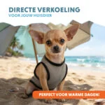 Vestă de răcorire pentru câini, activată cu apă, XS, lungimea spatelui 20 cm – Coolpets Cooling Vest - imagine 2