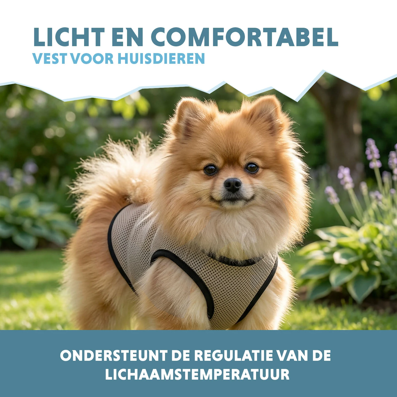 Vestă de răcorire pentru câini, activată cu apă, XS, lungimea spatelui 20 cm – Coolpets Cooling Vest - imagine 4